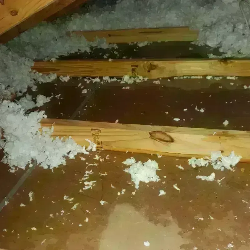 Attic Water Damage in Goldthwaite, TX